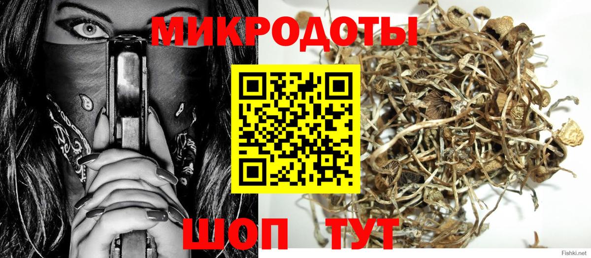 Сосновоборск  Галлюциногенные грибы прущие грибы  Вход с VPN 