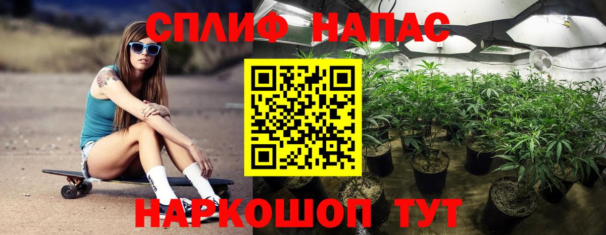 Бошки Шишки план  Вход с VPN  Сосновоборск  Каннабис гибрид  Конопля VHQ 
